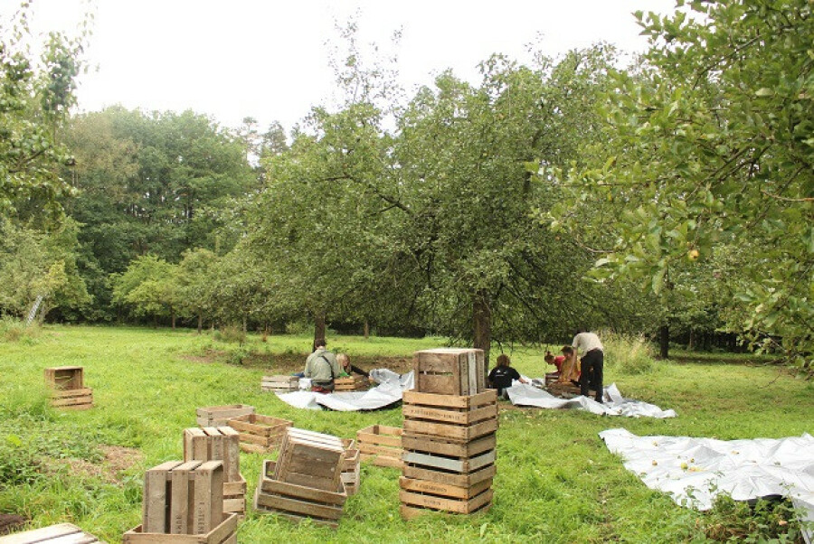Startweekend Limburg: fruitige appelsap maken