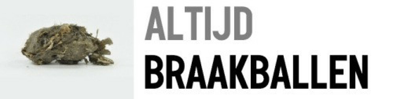 Braakballen tumblr_of4eggUSm71viyezzo1_500