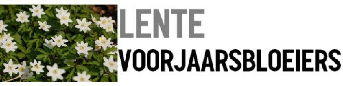 tumblr_of4fpjIh9s1viyezzo1_500