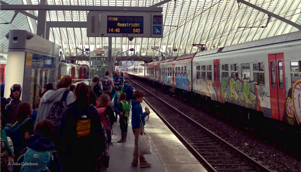 F_AikoCallebout_Trein