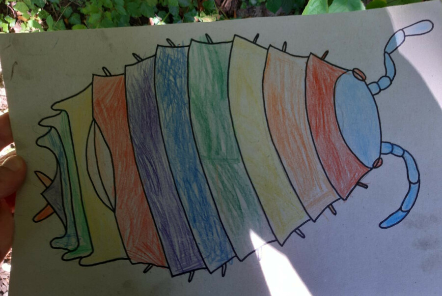 Regenboogpissebeddenspel
