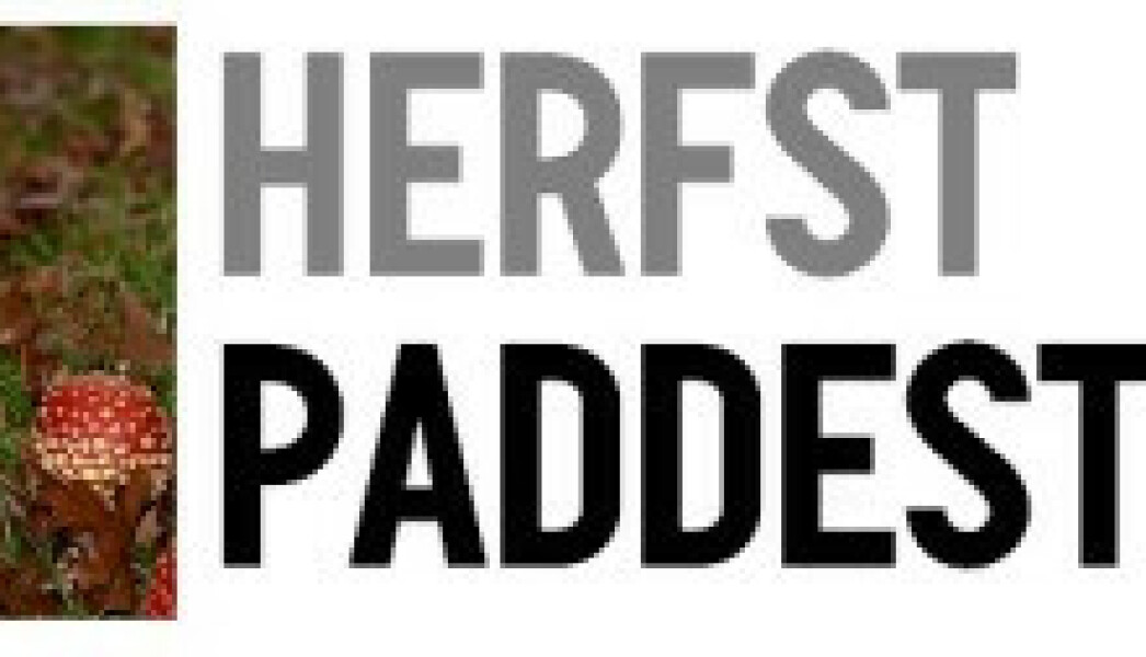 tumblr_of4f2sFG6t1viyezzo1_500