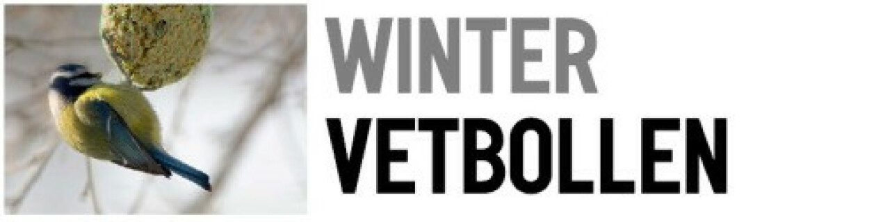 tumblr_of4dz4rX0p1viyezzo1_500 winterbollen