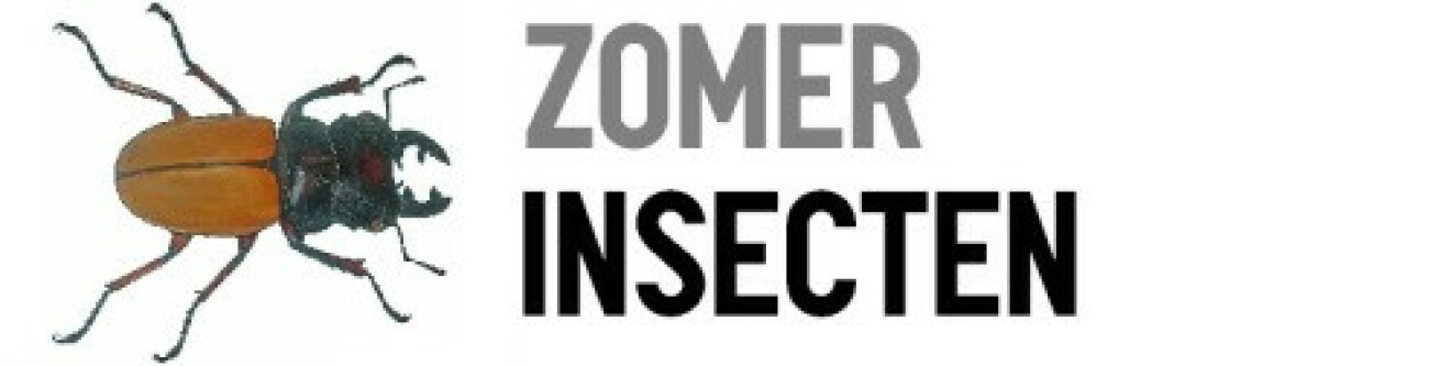 tumblr_of4g0yM9yG1viyezzo1_500