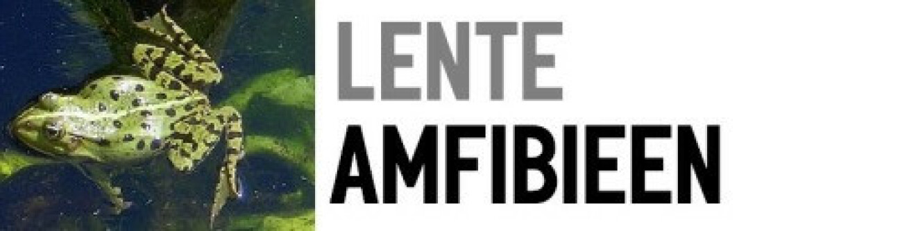 tumblr_of4fcoLPeJ1viyezzo1_500