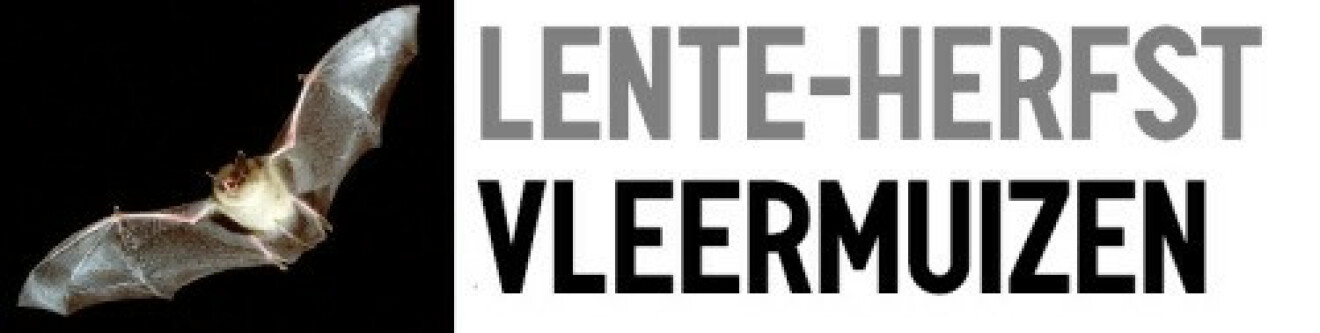 tumblr_of4sm5JqAm1viyezzo1_500