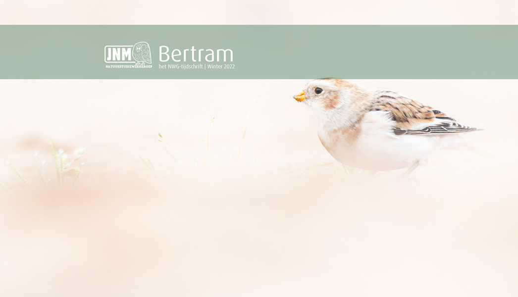 Bertram-winter2022-cover